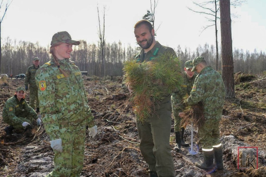 Продолжается республиканская акция «Лес! Дабро! Парадак!»