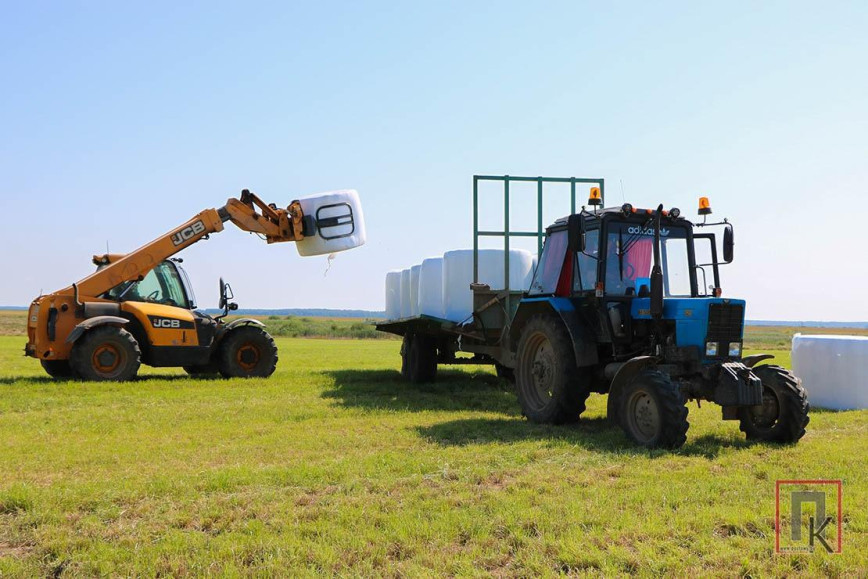 Заготовка кормов в Поставском районе