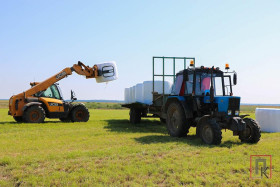 Заготовка кормов в Поставском районе