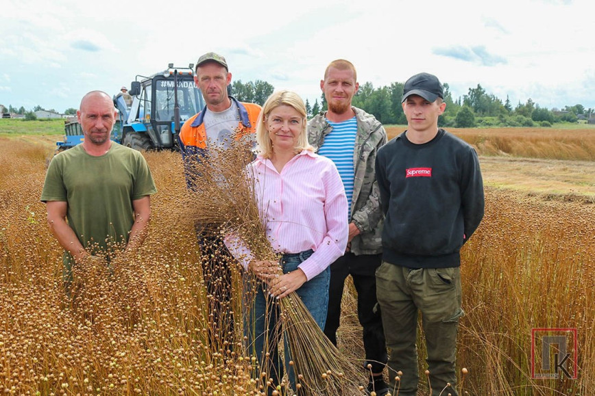 «Лизетта» — более метра. Такой долгунец вырастили работники Поставского льнозавода