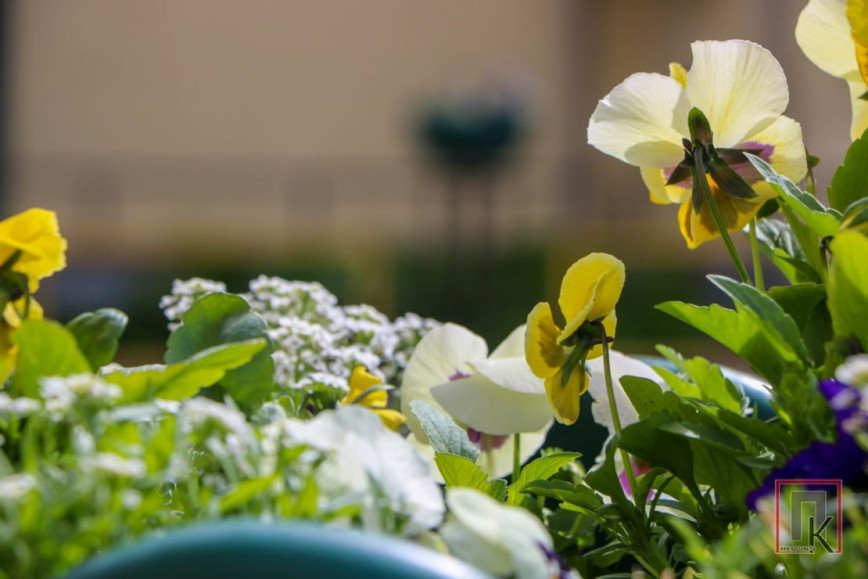 Сотрудники УП ЖКХ делают райцентр уютнее с каждым днём