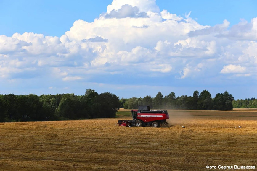 Хлеборобы КУСП «Дуниловичи-агро» увеличили валовой намолот зерна