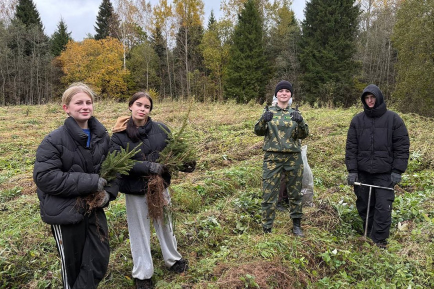 «Дай лесу новае жыццё!»