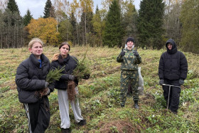 «Дай лесу новае жыццё!»