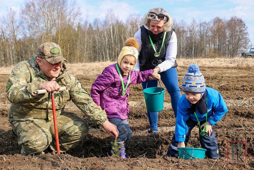 Пастаўчане далучыліся да акцыі "Дай лесу новае жыццё!"