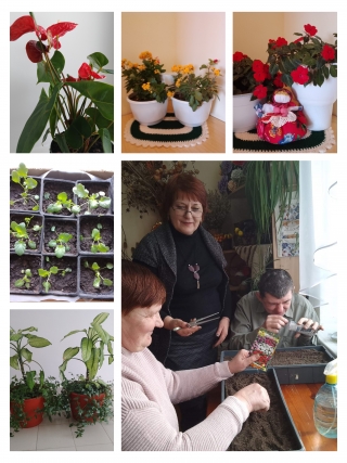 Прививаем  любовь  к  цветам