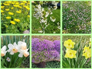 Мир, Труд, Май!