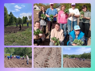 Весенние работы