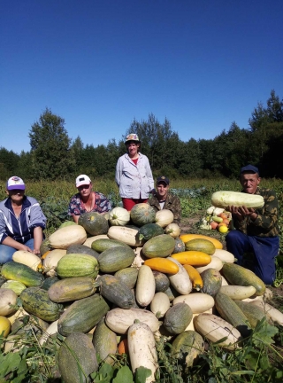 Осень дарит подарки