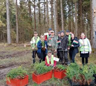 Неделя леса