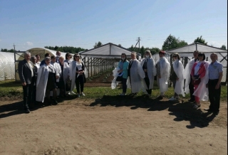 Трудотерапия с общей пользой