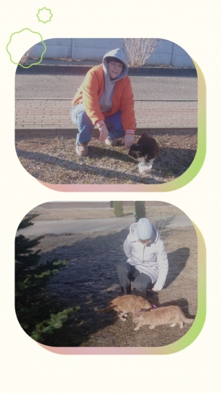 Мы в ответе за тех, кого приручили