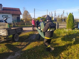 
 Молодёжь Постав всегда за безопасность 