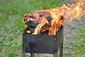 Чтобы отдых на природе был действительно безопасным