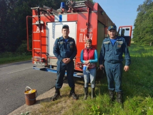 В Поставском районе нашли потерявшегося в лесу человека
