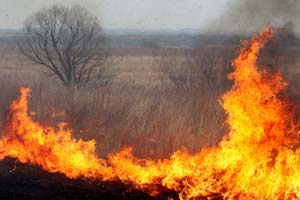 Пожары от выжигания сухой травы и разведения костров.